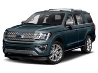 2020 Ford Expedition Platinum 4x4 Blue Metallic  Shot 17