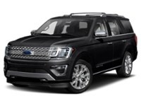 2020 Ford Expedition Platinum 4x4 Agate Black  Shot 32