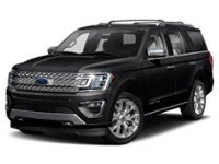 2020 Ford Expedition Platinum 4x4 Agate Black  Shot 32