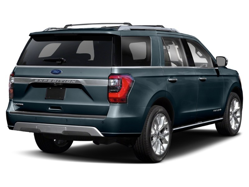 2020 Ford Expedition Platinum 4x4 Blue Metallic  Shot 15