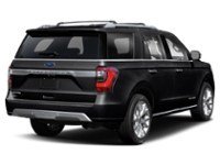 2020 Ford Expedition Platinum 4x4 Agate Black  Shot 33
