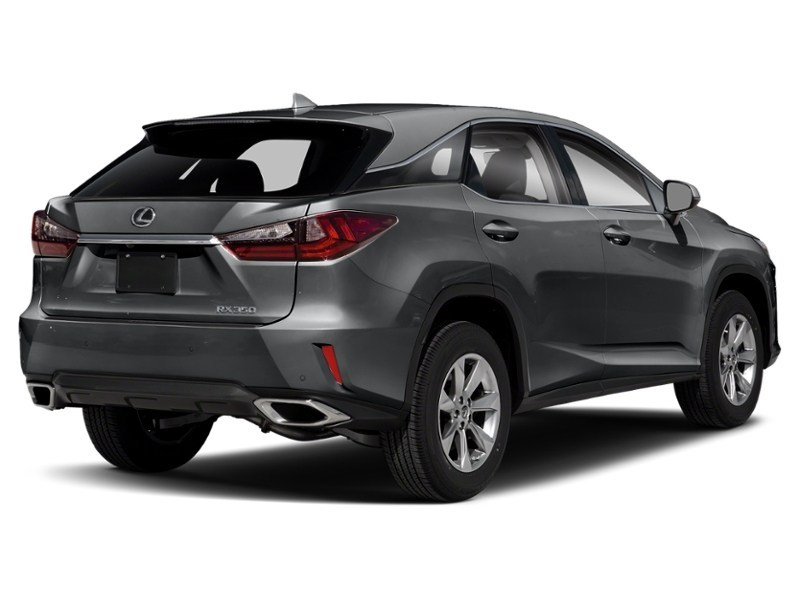 2019 Lexus RX 350 RX 350 Auto Nebula Grey Pearl  Shot 2