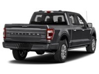 2023 Ford F-150 Platinum 4WD SuperCrew 5.5' Box Agate Black Metallic  Shot 2
