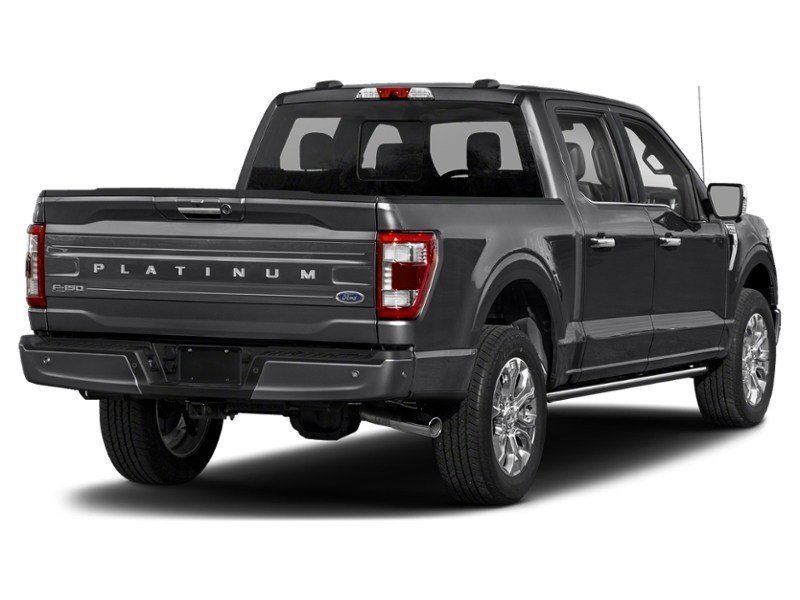 2023 Ford F-150 Platinum 4WD SuperCrew 5.5' Box Agate Black Metallic  Shot 6