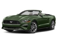 2022 Ford Mustang EcoBoost Convertible Eruption Green Metallic  Shot 25