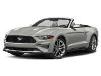 2022 Ford Mustang EcoBoost Convertible Iconic Silver Metallic  Shot 38