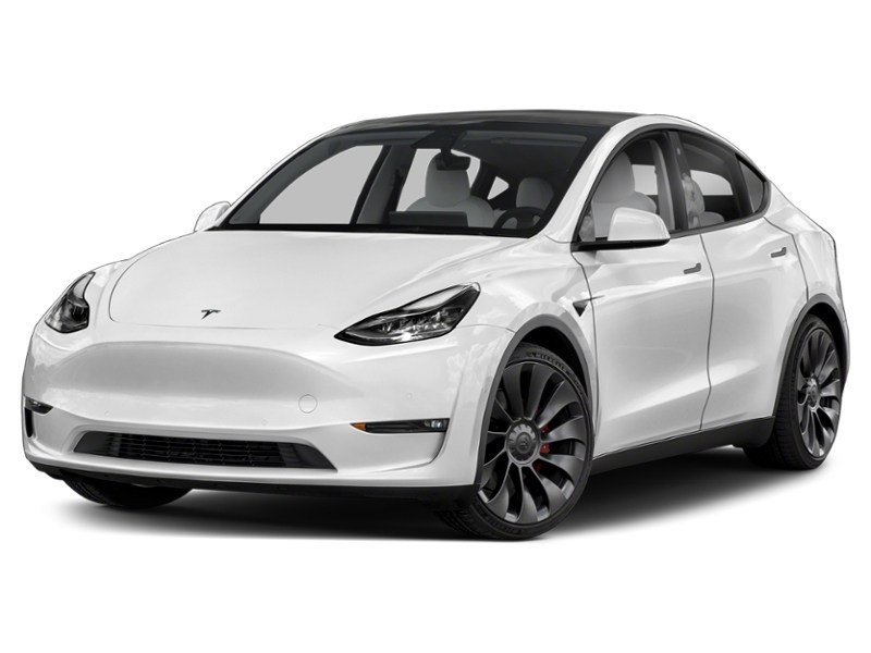 2023 Tesla Model Y Long Range AWD Pearl White Multi-Coat  Shot 4