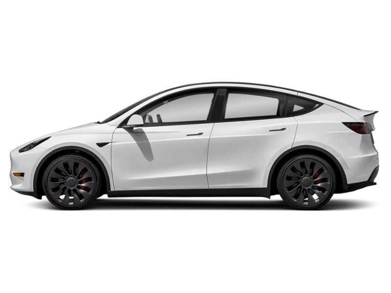 2023 Tesla Model Y Long Range AWD Pearl White Multi-Coat  Shot 5