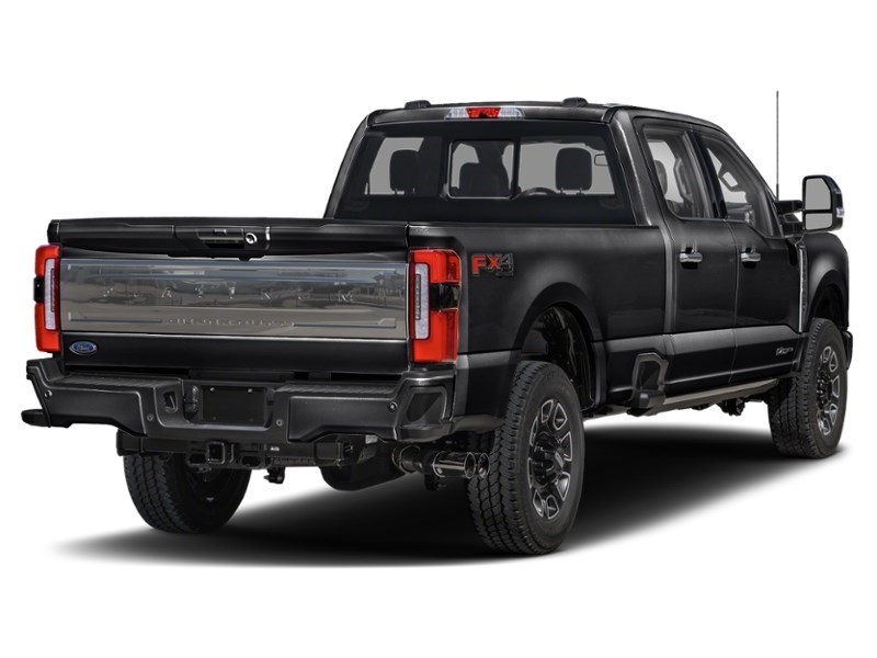 2024 Ford Super Duty F-350 DRW Platinum 4WD Crew Cab 8' Box Agate Black Metallic  Shot 34