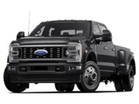 2024 Ford Super Duty F-450 DRW Platinum 4WD Crew Cab 8' Box Agate Black Metallic  Shot 1