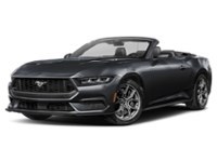 2026 Ford Mustang EcoBoost Convertible Shadow Black  Shot 16