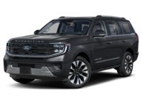 2026 Ford Expedition Platinum 4x4 Agate Black Metallic  Shot 4