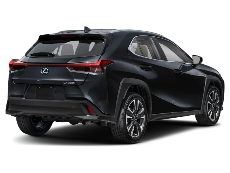 2025 Lexus UX 300h UX 300h CVT Caviar  Shot 2