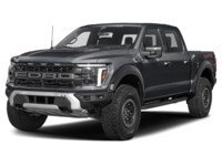 2026 Ford F-150 Raptor |4X4 | 3.5L | 801A | ROOF | SPRAY IN Agate Black Metallic  Shot 1
