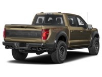 2026 Ford F-150 Raptor 4WD SuperCrew 5.5' Box Shelter Green  Shot 6